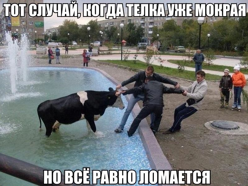 TOT Chi УЧА ТЕЛНА УЖЕ МОКРАЯ a я a wen BCE PABHO ЛОМАЕТСЯ