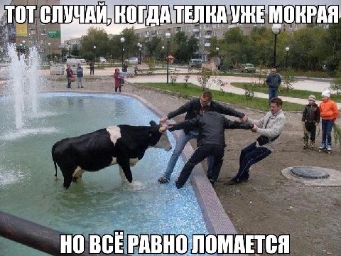 TOT Chi УЧА ТЕЛНА УЖЕ МОКРАЯ a я a wen BCE PABHO ЛОМАЕТСЯ