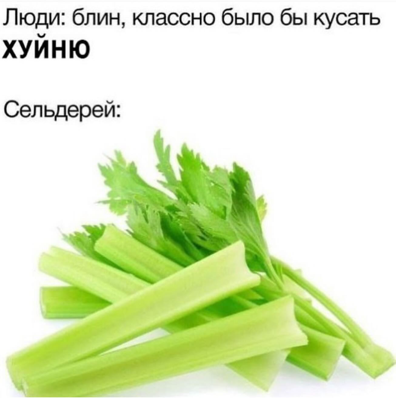 Люди: блин, классно было бы кусать ХУИНЮ Сельдерей: