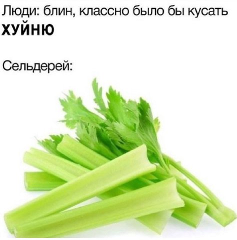 Люди: блин, классно было бы кусать ХУИНЮ Сельдерей:
