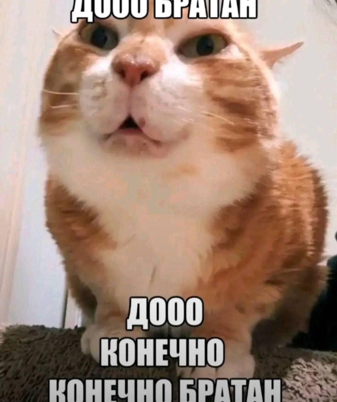 ОГАТАП