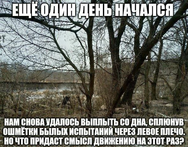 a Ween 7 НАМ СНОВА УДАЛОСЬ ВЫПЛЫТЬ ДНА, СПЛЮНУВ- ОШМЕТКИ БЫЛЫХ ИСПЫТАНИЙ ЧЕРЕЗ ЛЕВОЕ ПЛЕЧО. НО ЧТО ПРИДАСТ СМЫСЛ ДВИЖЕНИЮ НА ЭТОТ PAS?