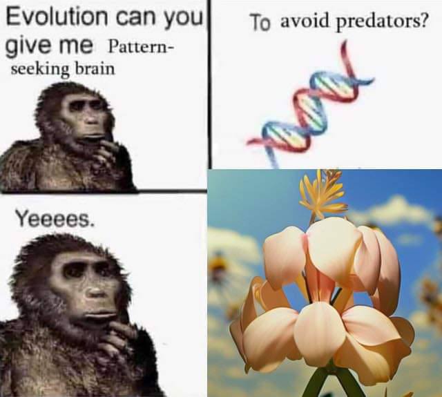 Evolution can you To avoid predators? give Pattern- seeking brain Yeeees.
