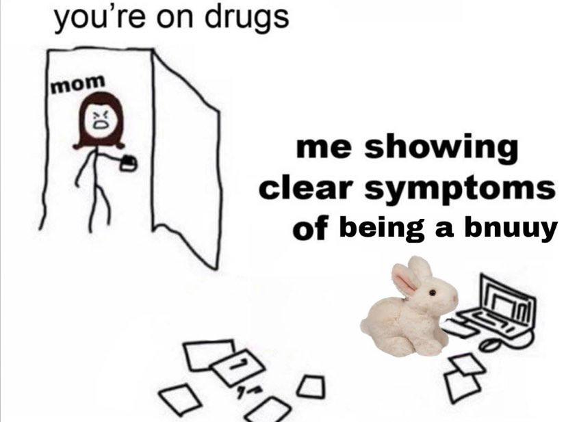 youre on drugs mom me showing clear symptoms of being a bnuuy