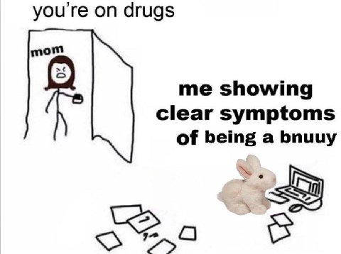 youre on drugs mom me showing clear symptoms of being a bnuuy