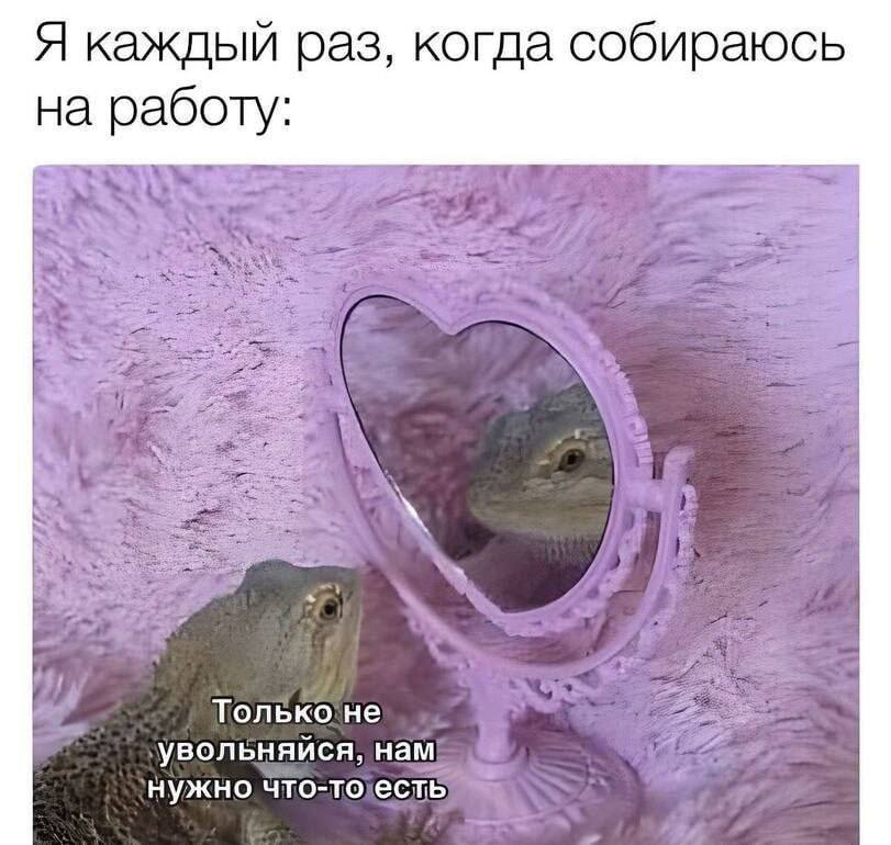Я каждый раз, когда собираюсь на работу: Только не увольняйся, нам нужно что-то есть