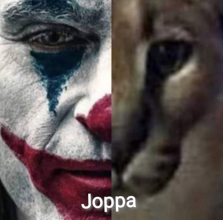 Joppa