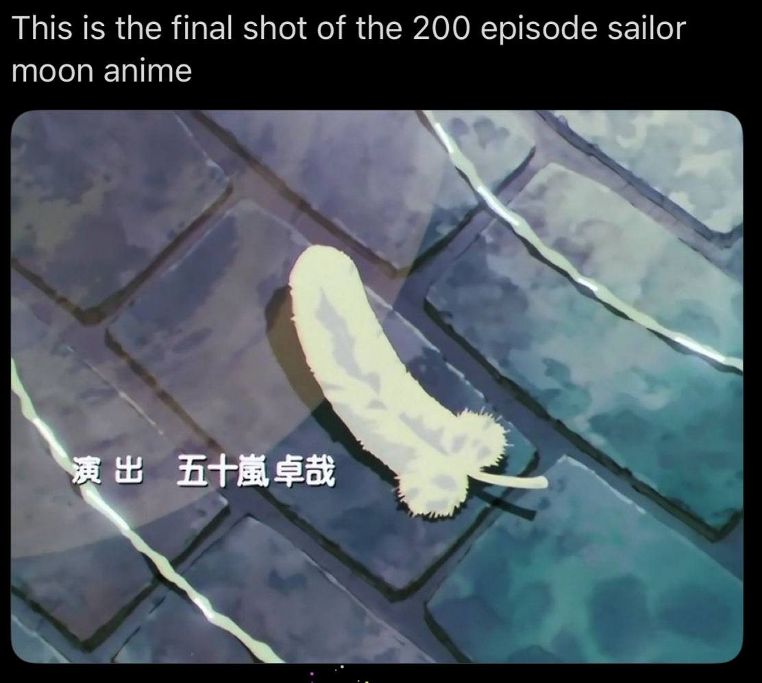 This is the final shot of the 200 episode sailor moon anime