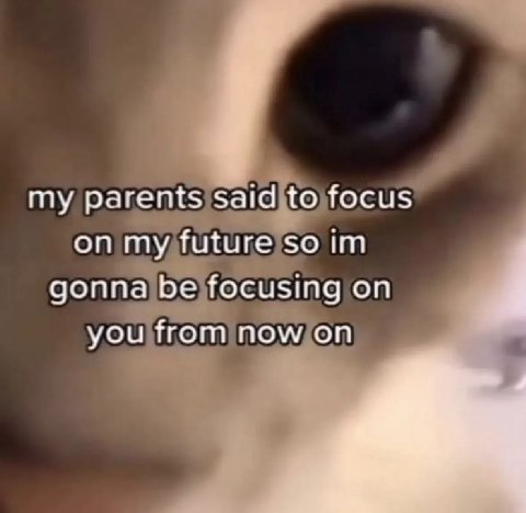 my parents Said to focus on my future so gonna be focusing on you from now on