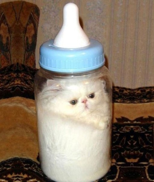 А