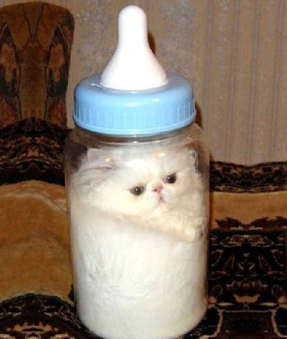 А
