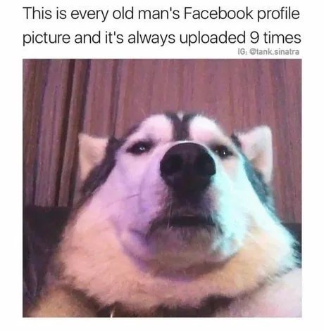 This is every old man's Facebook profile picture and it's always uploaded 9 times @tank.sinatra