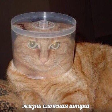жизнь сложная