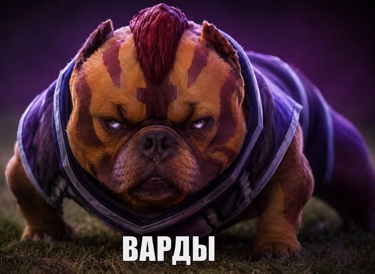 ВАРДЫ
