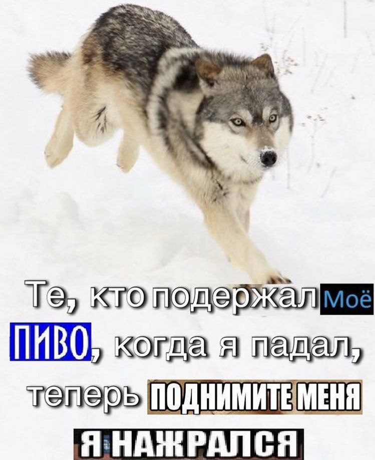 когда я пащал, Я НАЖРАЛСЯ