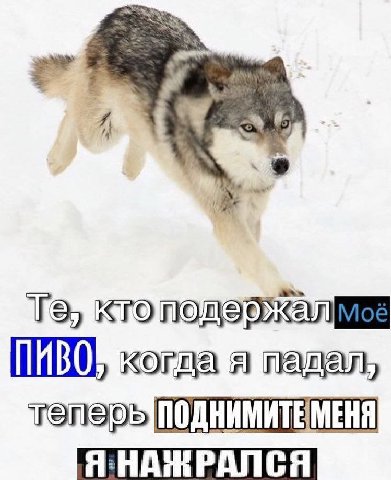 когда я пащал, Я НАЖРАЛСЯ