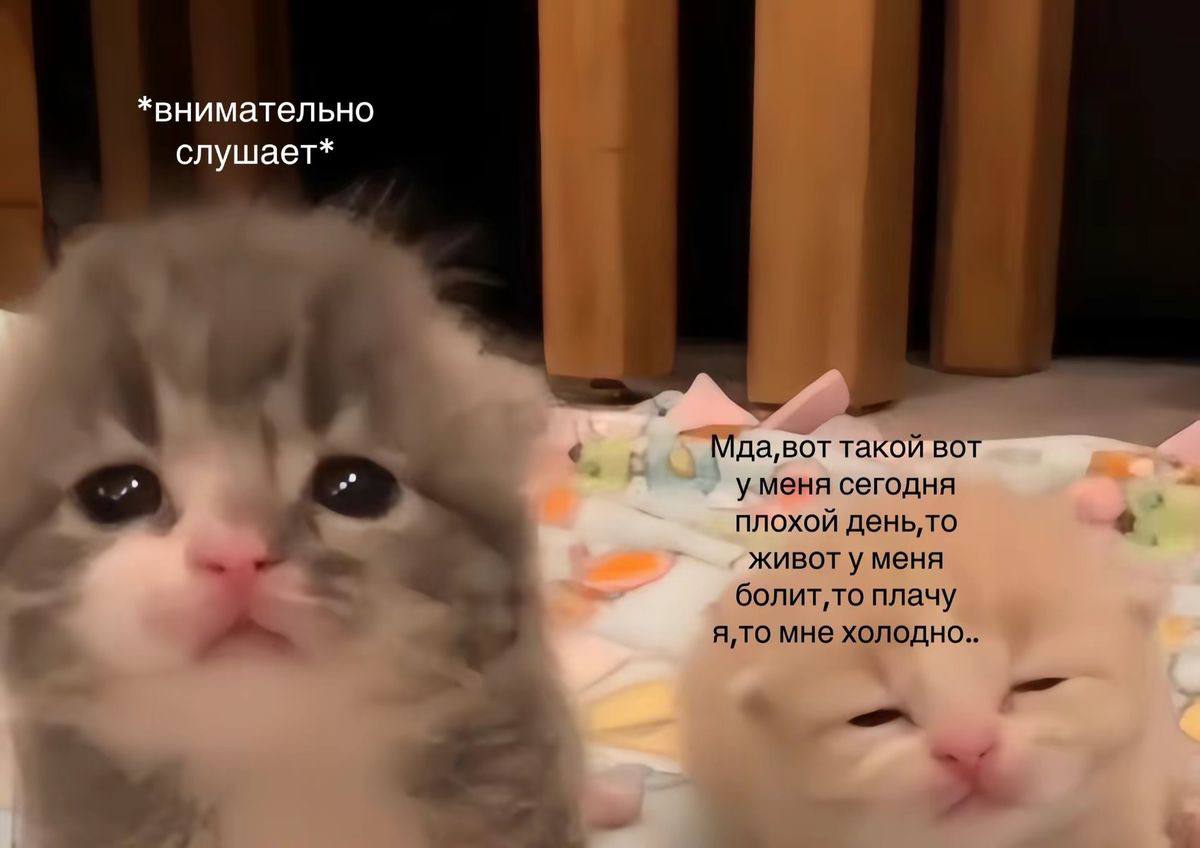 Ну было же было скажите