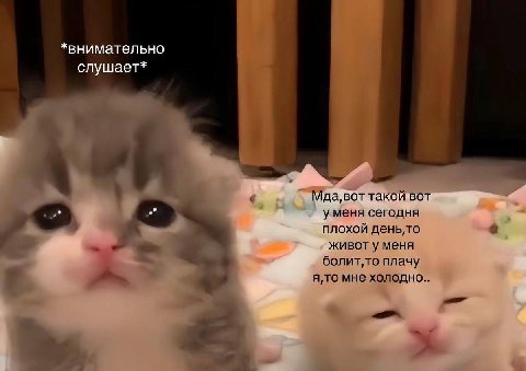 Ну было же было скажите