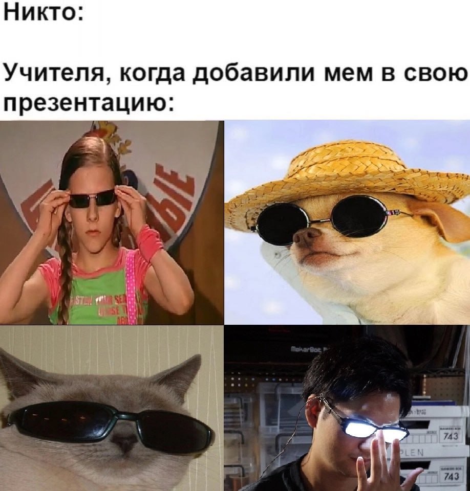 Никто: Учителя, когда добавили мем в свою презентацию: