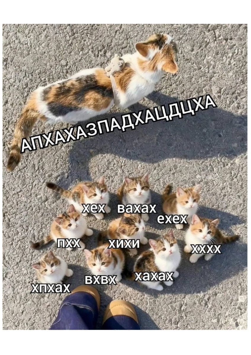 i 3 33 Rag у a у у 7 ‚я “4 4 a 4. 3» i Bax у 2 и у XUXU XXXX 4 24. вхвх Хахах fig 4 7 у у i