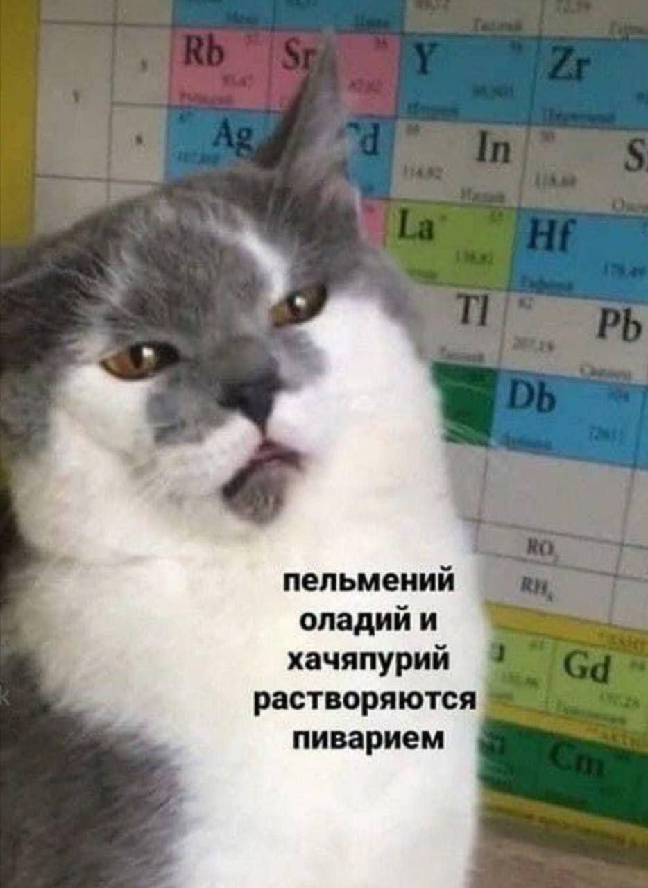 пельмений оладий и хачяпурий растворяются пиварием