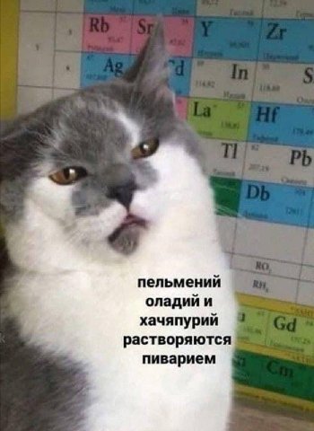пельмений оладий и хачяпурий растворяются пиварием