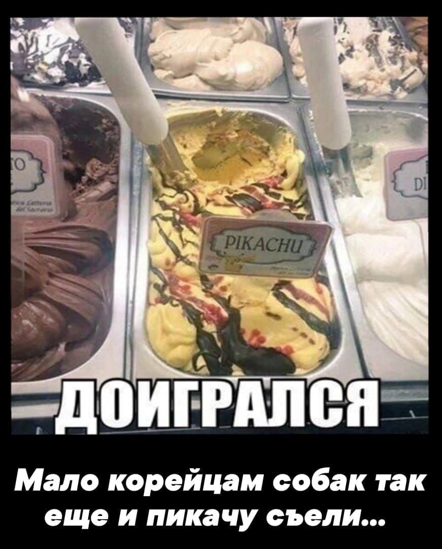 ‘4 7 ОИГРАЛСЯ Мало корейцам собак так еще и пикачу съели...