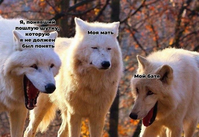 я, понявши пошлую которую должен понять 4