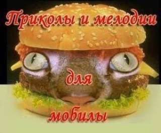 и мелодия