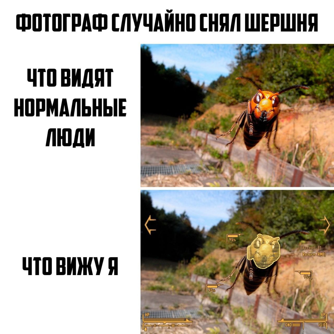 ФОТОГРАФ СЛУЧАЙНО СНЯЛ ЧТО ВИДЯТ НОРМАЛЬНЫЕ ЛЮДИ ЧТОВИЖУЯ
