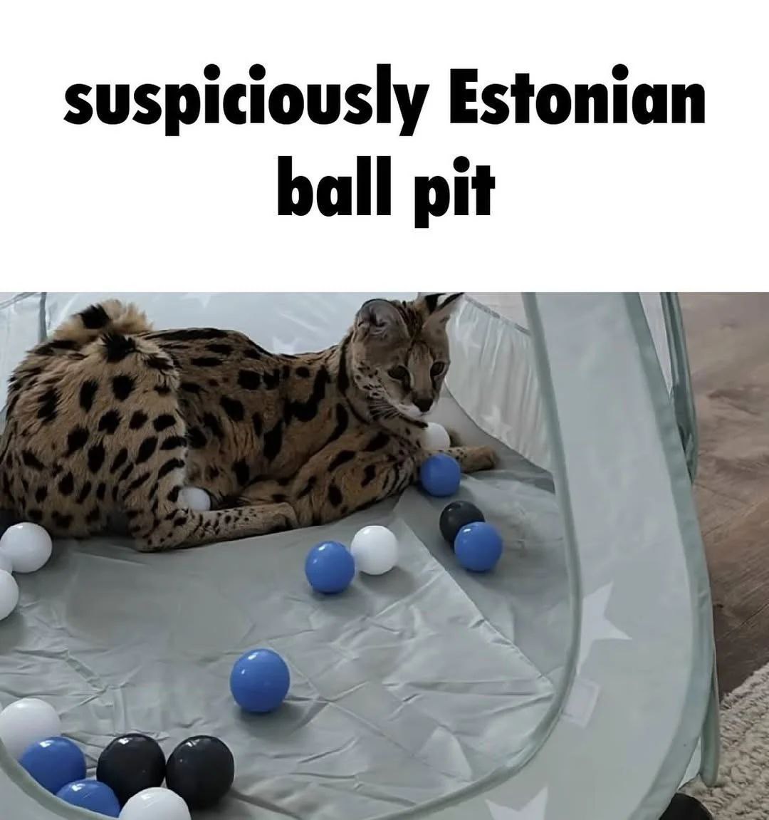 suspiciously Estonian ball pit