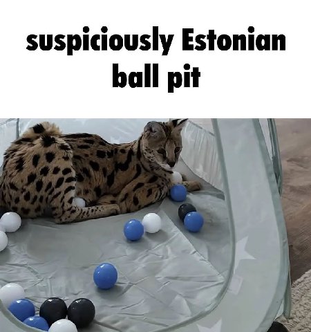 suspiciously Estonian ball pit