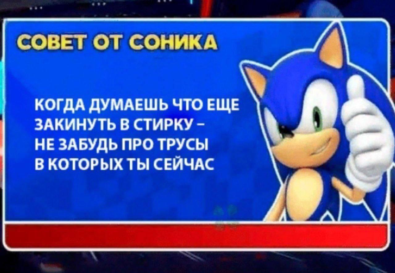 СОВЕТ ОТ СОНИКА КОГДА ДУМАЕШЬ ЧТО ЕЩЕ ЗАКИНУТЬ В СТИРКУ НЕ ЗАБУДЬ ПРО ТРУСЫ В КОТОРЫХ ТЫ СЕЙЧАС