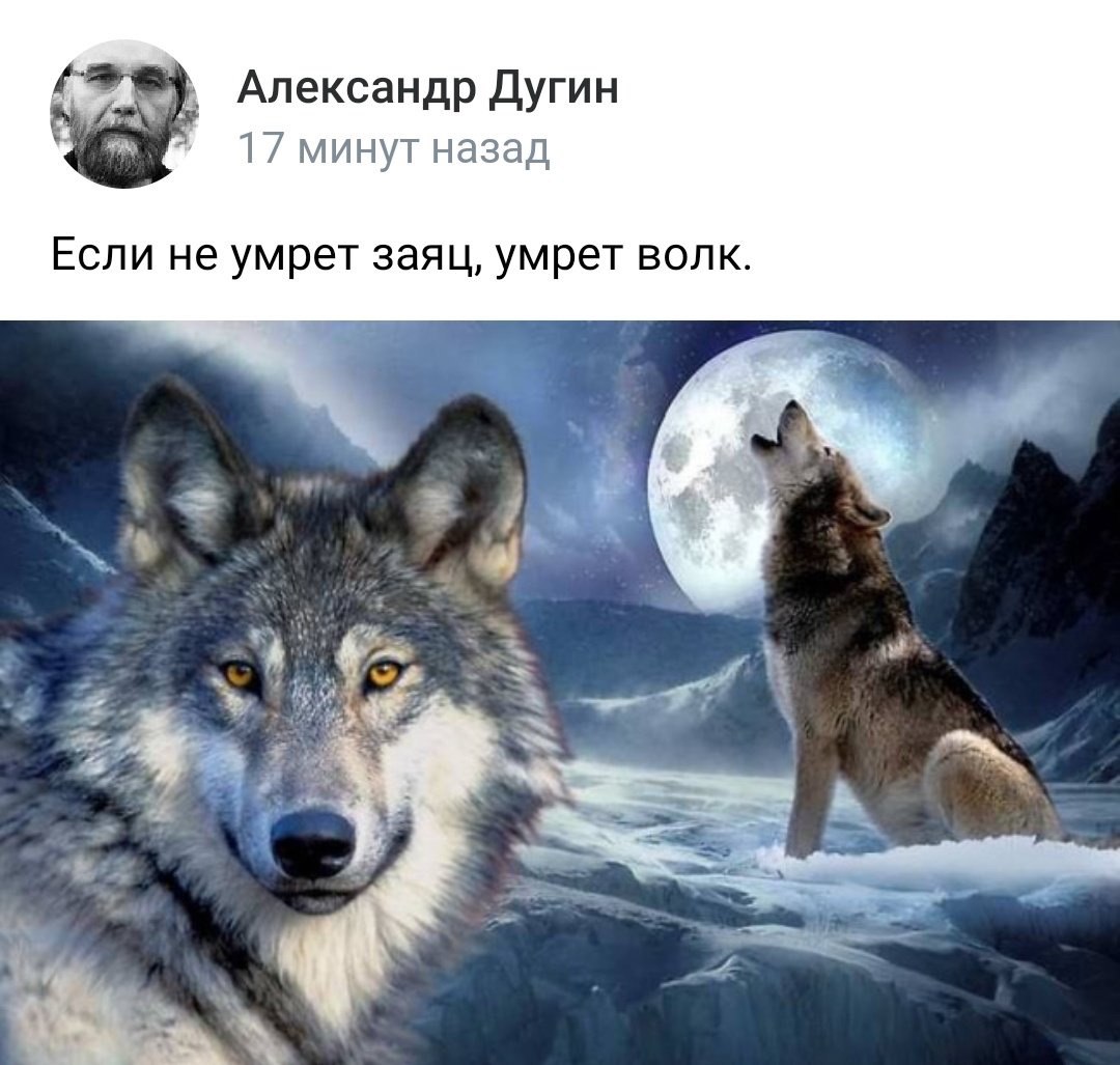 ✅
