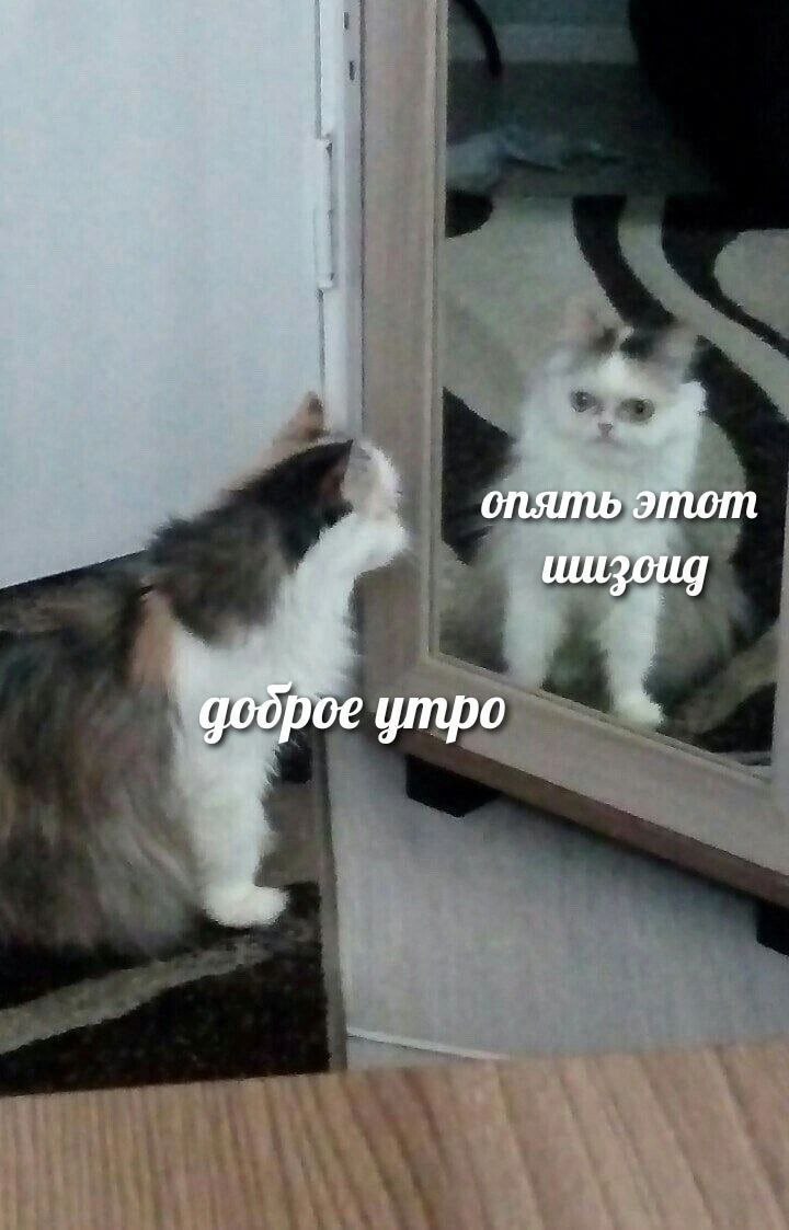 доброе утро