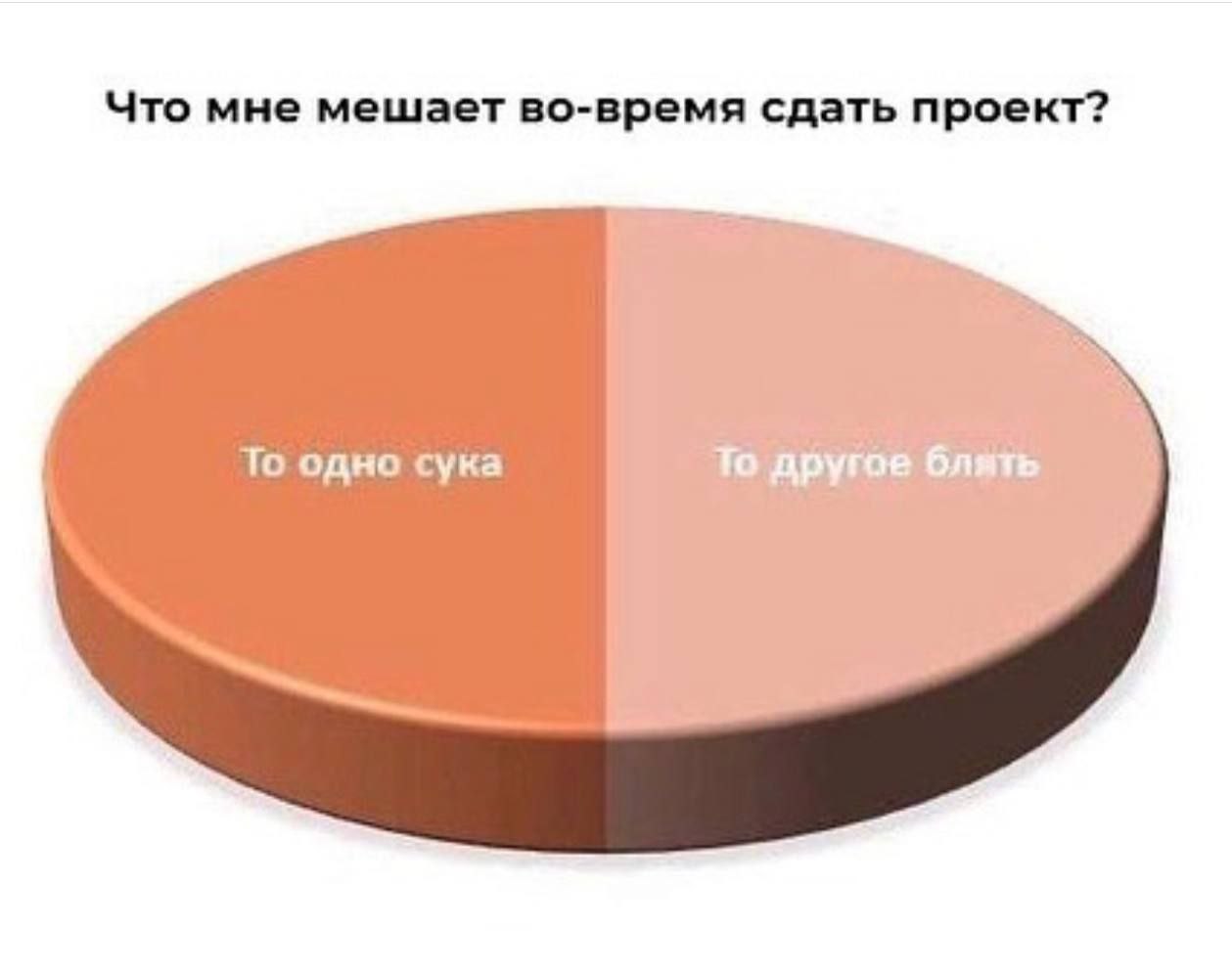 Что мне мешает во-время сдать проект? То одно сука