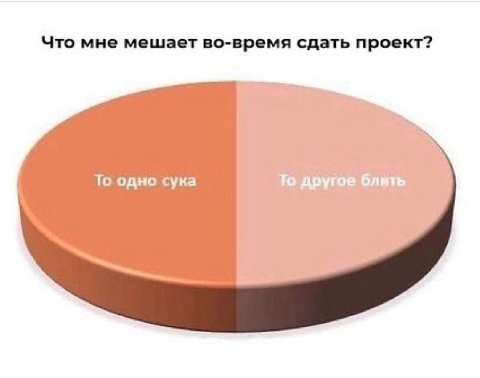 Что мне мешает во-время сдать проект? То одно сука