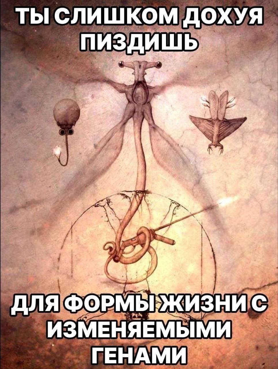 ТЫ слишком и А "для ГЕНАМИ