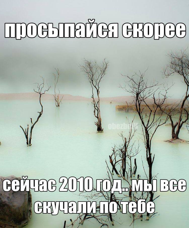 RODE i И МЫ