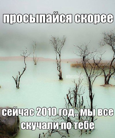 RODE i И МЫ