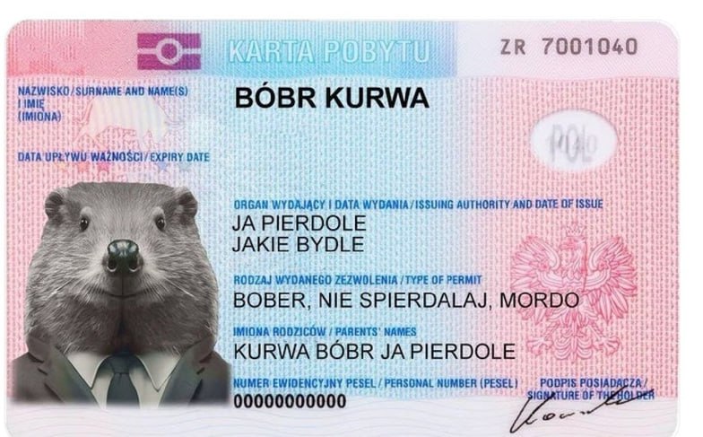 7001040 NAME(S) (IMIGNA) BOBR KURWA EXPIRY DATE ORGAN WYDAJACY DATA WYDANIA/ISSUING AUTHORITY AND DATE OF ISSUE PIERDOLE JAKIE BYDLE RODZAJ WYDANEGO ZEZWOLENIA TYPE OF PERMIT BOBER, NIE IMIONA RODZICO