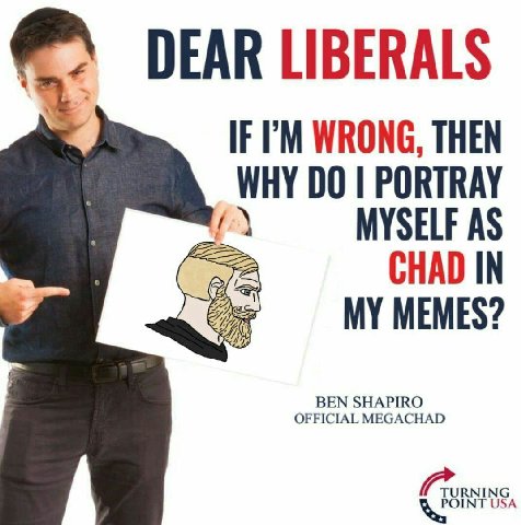 DEAR LIBERALS IF WRONG, THEN WHY PORTRAY ‘2 MYSELF AS CHAD IN MY MEMES? MEGACHA