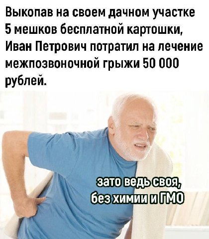 Выкопав на своем дачном участке 5 мешков бесплатной картошки, Иван Петрович потратил на лечение межпозвоночной грыжи 50 000 рублей. к зато|ведысвояй безхимиии