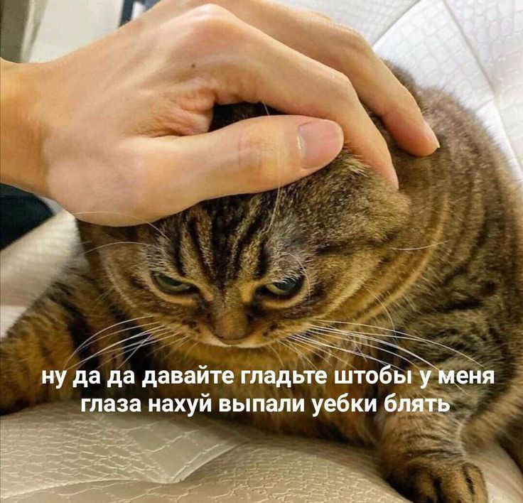 Ну да да давайте гладьте штобы у меня глаза нахуй выпали уебки блять