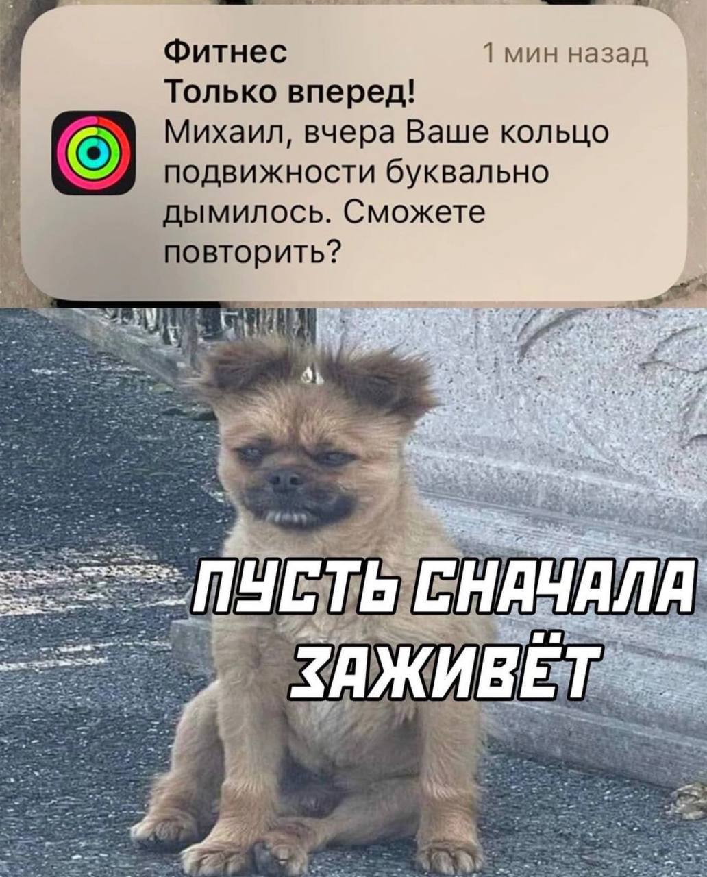 Фитнес 1 мин назад Только вперед! Михаил, вчера Ваше кольцо подвижности буквально дымилось. Сможете повторить? СНАЧАЛА aah ВЕТ Wey