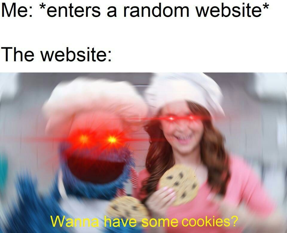 *enters а random мебзке* The website: We cookies?