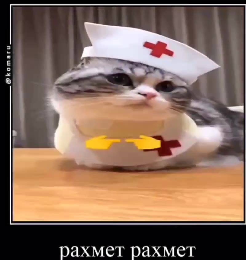 рахмет рахмет
