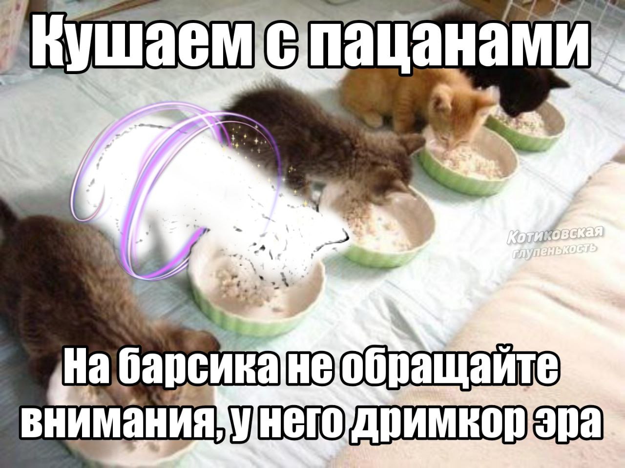 А этот ваш Dreamcore у барсиков, он заразен?

глупенькость🐾