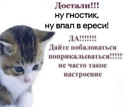 Достали ГНОСТИК, ну впал вереси! ДА Дайте побаловаться поприкалываться!!!!! a не часто такое настроение