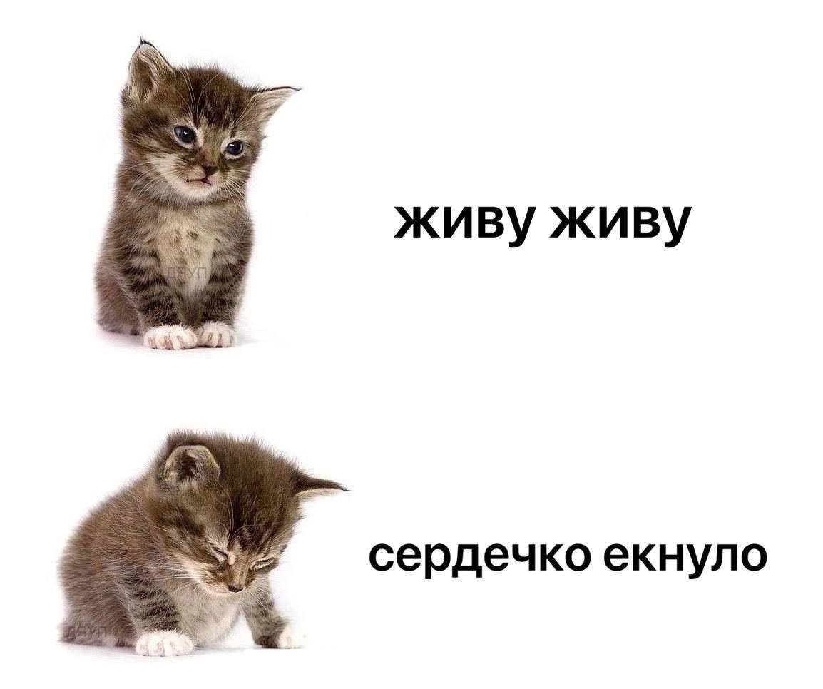 живу живу сердечко екнуло